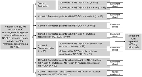 Figure 2. GEOMETRY Mono-1 (NCT02414139) study design.*Cohorts 1b, 2, and 3 are closed for futility.ALK, anaplastic lymphoma kinase; EGFR, epidermal growth factor receptor; GCN, gene copy number; NSCLC, non-small cell lung cancer.