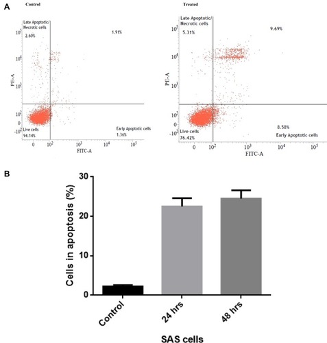 Figure 9 (A and B) Annexin V-FITC assay to detect early apoptosis in the SAS cell line that is treated with the formulated cumin nanoemulsion on contrary with control.