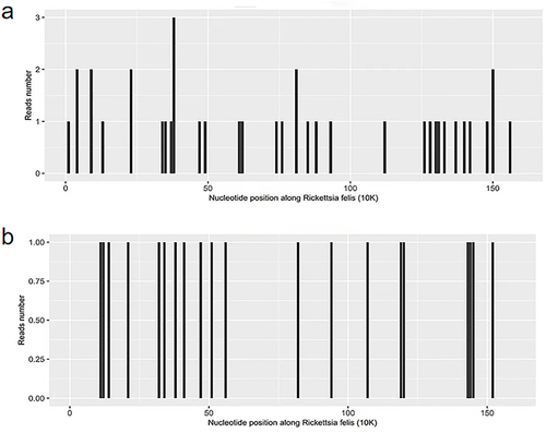 Figure 2 Results of mNGS in cerebrospinal fluid. (a) Sequencing of R. felis yielded a total coverage of 0.1751%. (b) Sequencing of R. felis yielded a total coverage of 0.0698%.