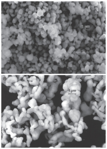 Figure 11 Field-emission scanning electron microscope images for micron-sized Ni A and Co B powders.