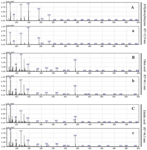 Figure 4. The MS spectra of silicane derivatives for β-hydroxybutyrate, oleic acid and elaidic acid in standard compounds (A, B and C, respectively) and serum samples (a, b and c, respectively).Figura 4. Espectros MS de derivados de silicona para ácido betahidroxibutírico, ácido oleico y ácido elaídico en compuestos estándar (A, B y C, respectivamente) y muestras de suero (a, b y c, respectivamente).