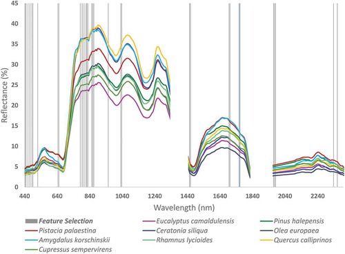 Figure 7. Mean spectral signatures of the nine dominant species woody species with band feature extraction and selection indicated in vertical gray lines