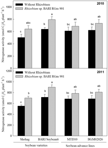 Fig. 2. Effect of Rhizobium sp. BARIRGm901 on nitrogenase activity in soybean genotypes grown in gray terrace soil in 2010 and 2011.