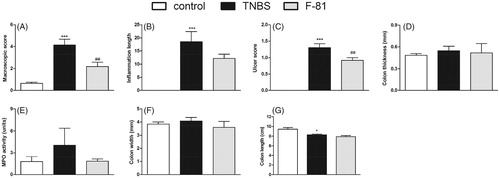 Figure 3. Anti-inflammatory activity of F-81, injected i.p. ameliorated experimental colitis in the semi-chronic TNBS-induced model. Macroscopic score (Panel A), inflammation area (Panel B), ulcer score (Panel C), colon thickness (Panel D) MPO activity (Panel E), colon width (Panel F), and colon length (Panel G). Statistical significance was assessed using one-way ANOVA and post hoc multiple comparison Student–Newman–Keuls test. ***p < .001, as compared with controls. #p < .05, ###p < .001, vs. TNBS-treated animals. Data represent mean ± SEM of eight mice per group.