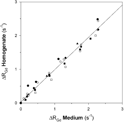 Figure 1. Gd-induced changes in equilibrium relaxation rates (RGd) of myocardial homogenate and the surrounding medium. In a total of 61 samples, including controls, Gd-concentrations ranged from 0.025 to 0.5 mM. Symbols indicate the individual hearts.
