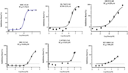 Figure 4. IC50 determination of LAH-1 against 5 c-Met addicted cancer cell lines and 1 non-addicted cell line. IC50 values were determined after exposure of cells to derivatives for 72 h, and data are expressed as the mean ± SD of two independent experiments.