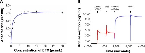 Figure 1 The adsorption of substrata on the PS surface.Notes: The EFC adsorption of PS was confirmed by using the ELISA method, which revealed that 10 μg/mL was the monolayer concentration of EFC (A). The coimmobilization of EFC (red) and PVLA (blue) is shown (B).Abbreviations: PS, polystyrene; EFC, E-cadherin-Fc; ELISA, enzyme-linked immunosorbent assay; PVLA, poly-(N-p-vinylbenzyl-4-O-β-D-galactopyranosyl-D-gluconamide).