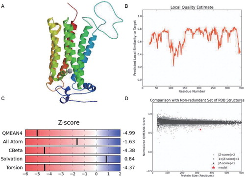 Figure 4. The predicted 3D structure of the BcHHP3 protein and the related information. The predicted 3D structure of the BcHHP3 protein (A). Local Quality Estimate of the BcHHP3 protein (B). Global Quality Estimate of the BcHHP3 protein (C). Comparison with Non-redundant Set of PDB Structures (D).