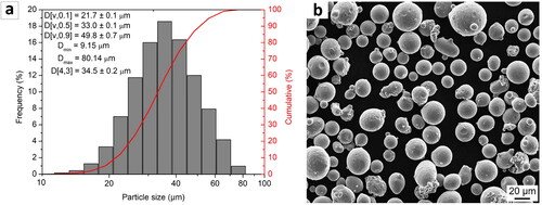 Figure 9. (a) Particle size distribution of gas atomized AISI H13 tool steel powder, and (b) the SEM-SE micrograph (Reproduced with permission from[Citation109]).