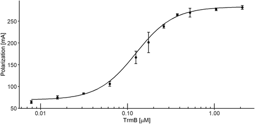 Figure 1. Quantitative analysis of wt bsTrmB tRNAPhe complex formation measured by fluorescence polarization. The fluorescently labelled tRNAPhe was analysed within increasing bsTrmB concentration, in the range of 0.007 to 2.1 µM. Complex formation was observed with fluorescence polarization. Measurements were performed in three indepentend experimental replicates. Results are shown as mean ± SD with error bars of SD (n = 3). tRNAPhe binds to TrmB in the nanomolar range of 0.12 µM ± 0.002 µM. Data were plotted with R [Citation27]