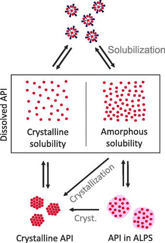 Figure 4. Classifications of states within dissolved ASDs. Dissolved API is in equilibrium with crystalline API or API in ALPS. The supersaturated state and, if the amorphous solubility is exceeded, ALPS are in a metastable state, where crystallization can occur (cryst.). Crystallization will lead to a reduction in concentration of the dissolved state down to crystalline solubility. Furthermore, there is an equilibrium between solubilized API and both dissolved states of dissolved API, i.e. the supersaturated and the not supersaturated state.