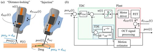 Figure 5. The schematic of the proposed control algorithm. (a) Two operation modes of the handheld microinjector: distance-locking and injection. (b) The block diagram of the position regulation feedback loop using the proposed time delay controller.