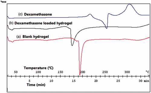 Figure 2. DSC curves of (a) blank hydrogel; (b) dexamethasone hydrogel; and (c) dexamethasone. Heating and cooling rate were 10 °C/min.
