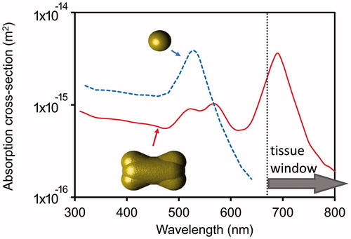 Figure 3. Calculated optical absorption efficiencies for 15 nm diameter gold nanospheres and a gold nano-dogbone with aspect ratio of 2:1.