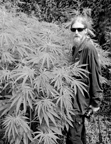 FIGURE 1. On August 26, 2007 the industrial hemp community lost one of our seminal members—Michael John Sutherland.