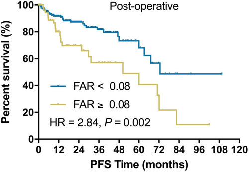 Figure 4 Kaplan–Meier plot of PFS for patients without radical surgical resection stratified into two groups: patients with a FAR ≥0.08 and patients with a FAR < 0.08.
