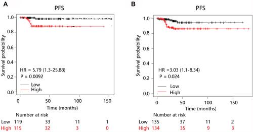 Figure 4 The high SLCO4A1 expression predicted poor PFS in thyroid cancer patients at stage 1 and female patients. (A) Stage 1. (B) Female.