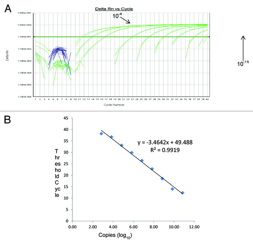 Figure 2. (A) Amplification curves of 10-fold dilution of PCV-2 positive control standards and (B) the linear relationship between threshold cycle (C) and log of copy number. Serial 10-fold dilutions were made using PCV-2 ssDNA oligonucleotide positive control standards. Dilutions used ranged from 10−3 to 10−11, corresponding to 6.9 × 107 to 7 copies/reaction, are included. The regression line and slope of the Ct value vs. log copy number graph were used for calculation of assay efficiency.