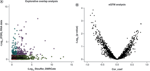 Figure 4. Integrative analyses of differentially DNA methylation and gene expression profiles. (A) Genomic overlap between Down syndrome-associated DMRs and DEGs. The x-axis represents -log10 Stouffer coefficient of DMRs and the y-axis represents -log10 (FDR) of DEGs. Purple dots represent significant DEG/DMR overlap, blue dots represent significant DEGs, green dots represent significant DMRs and red dots represent non-significant DEG/DMRs. (B) Expression quantitative trait methylation analysis. The x-axis represents the Pearson correlation coefficient between DMRs (median percentage difference of the β-value) and DEGs (-log2 fold change). the y-axis represents -log10 p-value of the Pearson correlation coefficient.DEG: Differentially expressed gene; DMR: Differentially methylated region; FDR: False discovery rate.