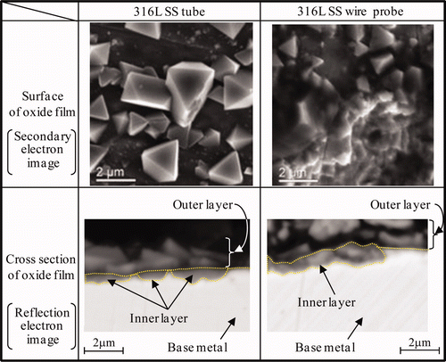 Figure 9. SEM image of surface and cross section of oxide film formed under HWC condition for Run 1.