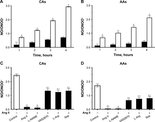 Figure 5 The change of [NO]/[ONOO−] balance in HUVECs of Caucasian Americans (CAs) (A) and African Americans (AAs) (B) as a function of incubation time. Vitamin D3 (100 nmol/L)-stimulated maximal (NO) and (ONOO−) were measured after 4 hours of incubation of HUVECs with angiotensin II (Ang II) (1 µmol/L) (solid bars) and with Ang II (1 µmol/L) + vitamin D3 (100 nmol/L) (open bars). Vitamin D3 (1 µmol/L)-stimulated maximal (NO) and (ONOO−) measured in HUVECs of CAs (C) and AAs (D) incubated with Ang II (1 µmol/L for 4 hours) in the presence of L-NAME (0.3 µmol/L), VAS2870 (10 µmol/L), L-Arg (3 mmol/L) or Sep (0.1 µmol/L).Notes: All data represented here are mean ± SE (N=5–15). One-way analysis of variance followed by Student–Newman–Keuls multiple comparison test was used to compare groups. *P<0.05 versus control, +P<0.05 versus dysfunctional (Ang II-incubated) for both ethnic groups.Abbreviations: vitamin D3, 1, 25-dihydroxy vitamin D3; Ang II, human angiotensin II; HUVECs, human umbilical vein endothelial cells; VAS2870, 7-(1,3-Benzoxazol-2-ylsulfanyl)-3-benzyl-3H-[1,2,3]triazolo[4,5-d]pyrimidine; Sep, sepiapterin; L-Arg, L-arginine; L-NAME, N(G)nitro-L-arginine methyl ester.