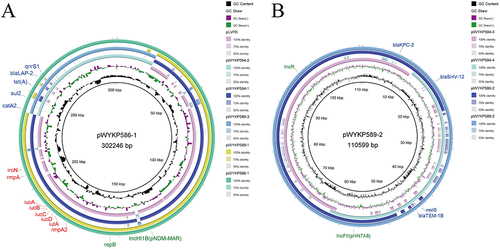 Figure 6 Genetic comparison of plasmids in strains WYKP586, WYKP589 and WYKP594. (A) Alignment of plasmids pWYKP586-1, pWYKP589-1, pWYKP589-3, pWYKP594-1, pWYKP594-2 and pLVPK (AY378100). pWYKP586-1 was used as the reference plasmid. (B) Alignment of plasmids pWYKP589-2, pWYKP586-2, pWYKP594-3 and pWYKP594-4. pWYKP589-2 was used as the reference plasmid. The circular map of plasmids was generated with BRIG. Antibiotic resistance genes are shown in blue. Virulence genes are shown in red.