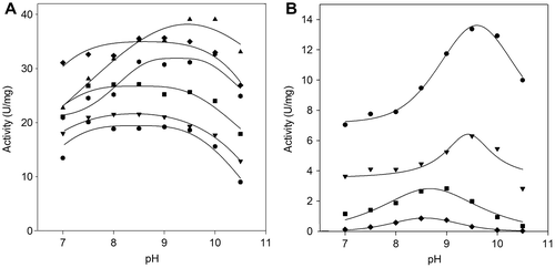 Fig. 2. pH activity profiles of the lipases.Note: The effects of pH on the activity of P. solitum 194A (panel (A)) and C. cladosporioides 194B (panel (B)) lipases were determined at 0.5 mM of p-nitro derivative substrates, with the following buffers (50 mM): PIPES (7.0–7.5), HEPES (7.5–8.5), Na-phosphate (7.0–9.0), and Na-bicarbonate (9.0–10.5). For the assays of the C. cladosporioides 194B lipase, all the buffers contained 50 mM Pi. ● pNPO; ▼ pNPD; ■ pNPDD; ♦ pNPM ▲ pNPP; Display full size pNPS.