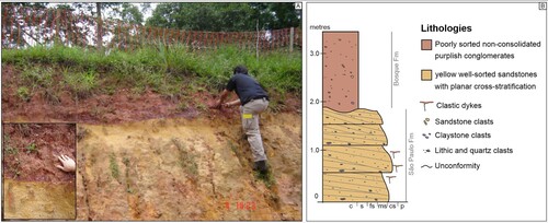 Figure 4. Sedimentary log of the unconformity between the São Paulo Formation and the Bosque Formation.