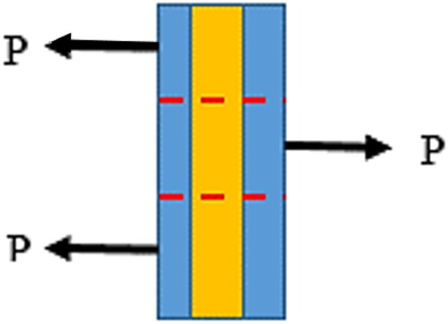 Figure 5. The process loading in double shear test.