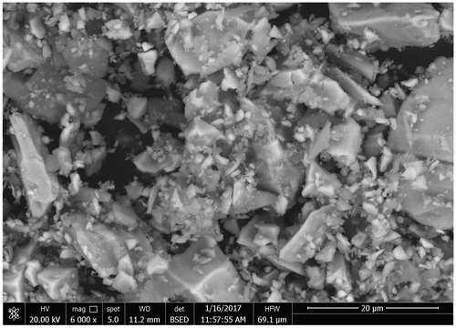 Figure 8. SEM micrograph of dispersed limonite particles with amorphous and lamellar shapes.