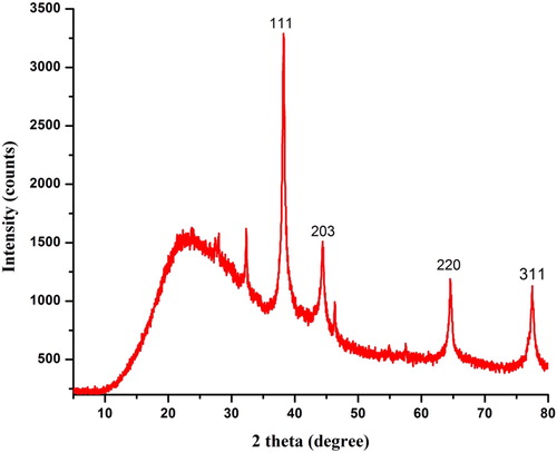 Figure 4. X-ray diffraction pattern of synthesized AEP-AgNPs using aqueous leaf extract of P. integrifolia.