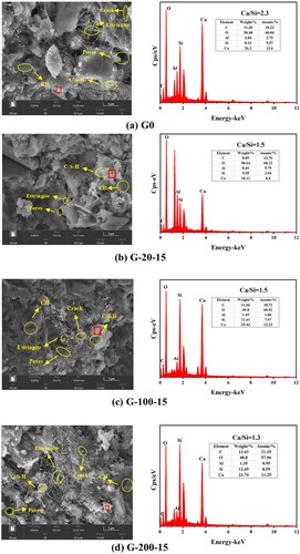 Figure 13. SEM-EDS images of ordinary cement mortar and glass mortar after 28 d hydration.