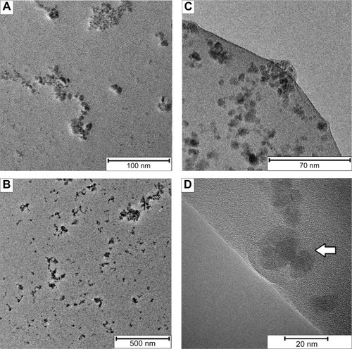 Figure 3 Transmission electron microscopy images of the 6% SEONLA-BSA sample.Notes: (A) Core size distribution. (B) Low resolution image on which the aggregate size distributions can be observed. (C) Drying edge of the organic matrix with entrapped particles. (D) High resolution image. The arrow indicates the crystal lattice planes.Abbreviation: SEONLA-BSA, bovine serum lauric acid/albumin hybrid-coated ferrofluid.