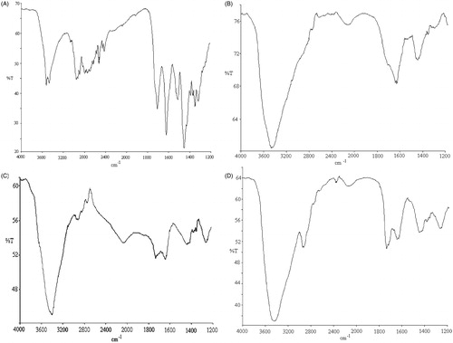 Figure 1. IR spectra of different samples: (a) MH; (b) PVA/SA fibers; (c) mixture of MH/PVA/SA; and (d) MH/PVA/SA fibers.