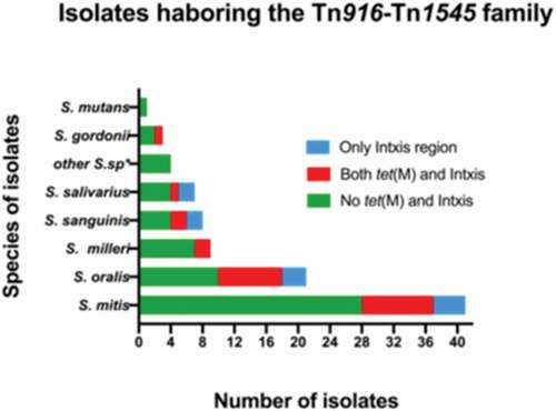 Figure 1. A graph illustrating the species distribution of the oral streptococci isolates included in this study. The isolates that tested PCR negative for the presence of tet(M), Int and Xis genes are shown in green whereas isolates that were PCR positive for tet(M), Int and Xis genes are illustrated in red. The blue bars indicate isolates that only tested positive for Int and Xis. S.sp*; other streptococcal species including S. anginosus, S. constellatus and S. intermediate and member of the S. milleri group