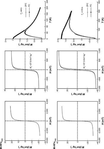 Figure S2 Low- and room-temperature magnetic analysis of M-HFn nanoparticles.Notes: Hysteresis loops of M-HFn nanoparticles measured at (A) 300 K and (B) 5 K. (C) Low-field (1.5 mT) magnetization curves as a function of temperature measured after ZFC and FC treatments of the M-HFn nanoparticles.Abbreviations: M-HFn, ferrimagnetic H-ferritin; ZFC, zero-field cooling; FC, field cooling; M, magnetization; H, magnetic field; Tb, blocking temperature.