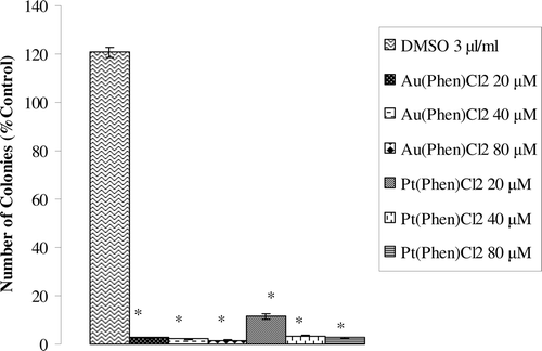 Figure 2.  Percentage soft agar colony forming efficacy of A549 cells treated with Pt(phen)Cl2 and [Au(phen)Cl2]Cl (20–40 and 80 µM). Results of mean three different experiments. *Indicates significant difference from the control group by the Tukey test (p < 0.05).