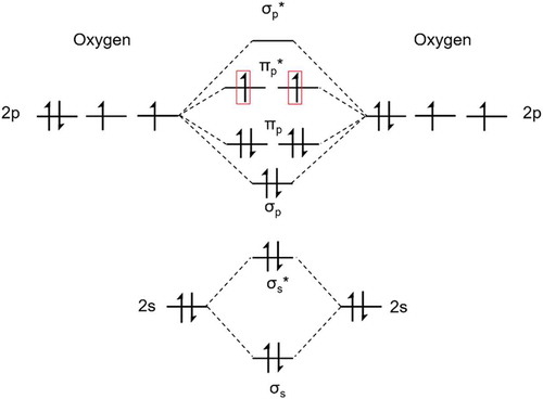 Figure 2.1.1. Molecular orbital diagram of O2 in the ground triplet state, with the two unpaired electrons in the degenerate πp* orbitals outlined in red