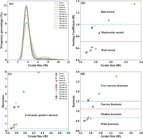 Figure 7. Characteristics parameters of sediment from a nebkha (39°29′2.79ʺ N, 88°24′50.43ʺ E). (a) Frequency percentage of particle size in each layer of the nebkha; (b) sorting coefficient of the sediments; (c) skewness of the sediment; (d) Kurtosis of the sediments. All of these parameters were analyzed using the graphical methods of Folk and Ward (Citation1957). The levels corresponding to these parameters have been presented in each plot.