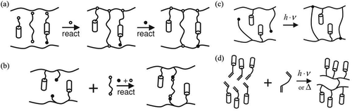 Figure 37. Four routes for synthesizing LCEs: (a) ‘one-pot’ method mixing all reactants in a palladium-catalyzed reaction, (b) liquid crystal polymers are mixed with a cross-linker that react with functional groups in the polymers, (c) liquid crystal polymers already containing cross-linking groups are activated, for instance by ultraviolet (UV) light, (d) a liquid crystal monomer is mixed with a cross-linker and is then polymerized, for instance, using UV light [Citation30]. Reprinted with permission from [Citation30].