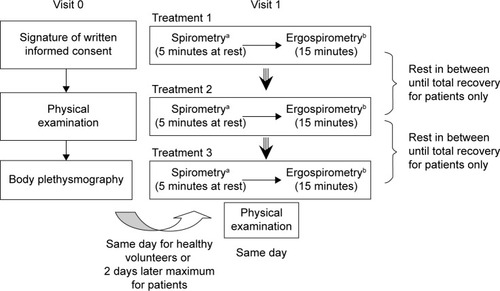 Figure 1 Study flowchart.