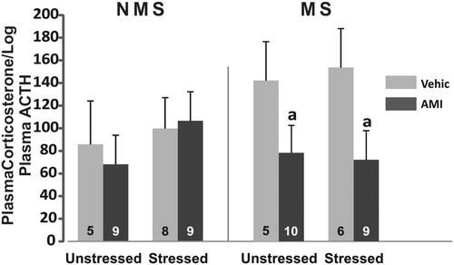 Figure 3. Index of adrenal sensitivity to ACTH measured as plasma corticosterone divided by the log of plasma ACTH, in NMS and MS rats subjected to chronic variable stress under AMI (5 mg/kg) or vehicle administration. Mean ± SE are presented. The number of animals per group is included inside each bar. (a) Significant difference (p < 0.05) versus respective vehicle.