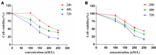 Figure 10 Quercetin inhibits the viability of CRC cells as measured by the CCK8 assay. (A) HCT116, (B) HT29 cells were treated with various concentrations of quercetin for 24, 48, and 72 h, respectively. Data are presented as the mean ± SD from at least three independent experiments.