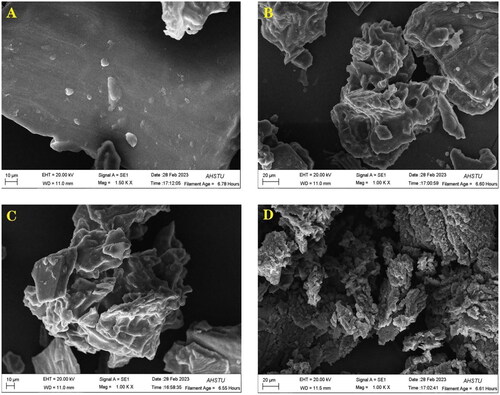 Figure 6. The scanning electron micrograph demonstrates the impact of various treatments on the mulberry’s surface microstructure: (A) mullberry powder; (B) MAE extraction; (C) ATPE extraction; and (D) MAATPE extraction.