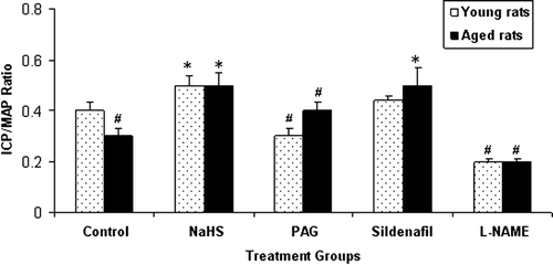 Figure 1.  ICP/MAP ratio in the young and aged male rat groups (n = 6–8) treated with sodium hydrosulfide hydrate (NaHS), dl-propargylglycine (PAG), sildenafil or l-NAME compared with the calculated ratio in untreated control animals. p < 0.05.