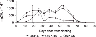Figure 1  Methane emission rates outside the saline patch. The vertical bar represents the confidence interval of the mean at 95%. OSP, plots outside the saline patch; C, control treatments with no amendments; RS, rice-straw amendment treatments; CM, cow-manure amendment treatments.