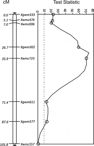 Fig. 5 The LOD for QTL for resistance to Ustilago tritici identified for 9340/Vista chromosome 7B with race T9 (○, solid line). The MQTL Test Statistic threshold is shown as a straight dotted line for the P = 0.05 level of significance for the most conservative threshold.
