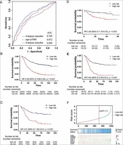 Figure 3. Identification and validation of the integrative prognostic gastric cancer classifier. (a) The receiver-operating characteristic (ROC) curve of the training set. Patients of the training set (b), testing set (c), internal validation set 1 (d) and neoadjuvant chemotherapy (NAC) cohort (e) were classified into high- and low-risk groups using the classifier. The Kaplan-Meier estimates of overall survival for the two groups are shown. (f) The prognosis score distribution, prognosis prediction using the classifier, the overall survival status, and the expression profile of the molecular features of all the 1180 patients involved in the study.