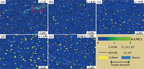 Figure 6. Kernel average misorientation (KAM) graphs the deformation zone with strains of (a) 0, (b) 0.41, (c) 0.92, and (d) 1.88 under 950°C at a strain rate of 1×10−3 s−1. (e) KAM image of the gripping zone (e = 1.88).