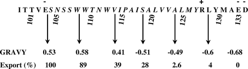 Figure 9.  Relationship between MIS hydropathy and export rates of signal-appended cytochrome b5 carrying increasing lengths of penta deletions from the C-terminus. The protein bands in Figure 10A were densitometrically scanned using a HP Scanjet 5300C scanner and the profiles quantified using Phoretix 1D Advanced software (version 3.01) operating under MS Windows XP™. Product formation was determined from integration of the exported/processed periplasmically-recovered cytochrome b5 bands and expressed as% of the corresponding exported 98 amino acid globular cytochrome b5 form (Δ99–133).